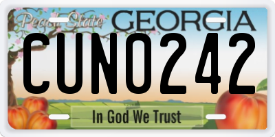 GA license plate CUN0242