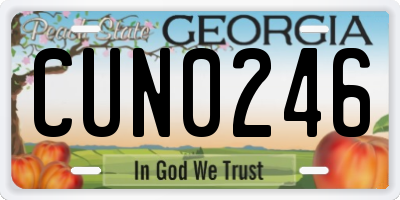 GA license plate CUN0246