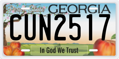 GA license plate CUN2517