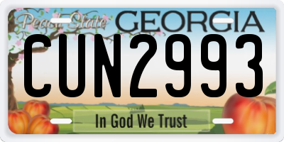 GA license plate CUN2993