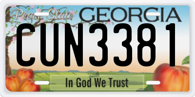 GA license plate CUN3381