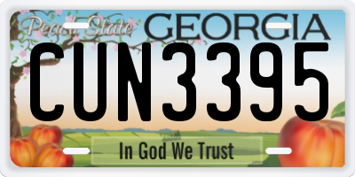 GA license plate CUN3395