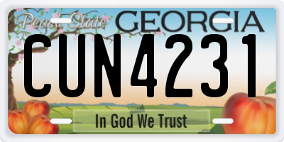 GA license plate CUN4231