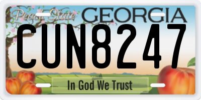 GA license plate CUN8247