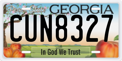 GA license plate CUN8327