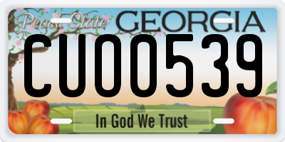 GA license plate CUO0539