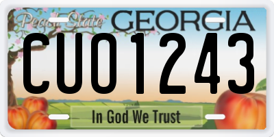 GA license plate CUO1243