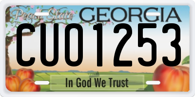 GA license plate CUO1253
