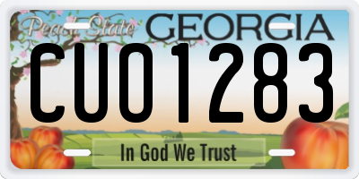 GA license plate CUO1283