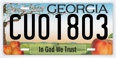 GA license plate CUO1803