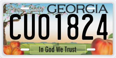 GA license plate CUO1824