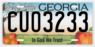 GA license plate CUO3233