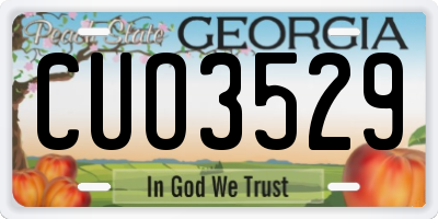 GA license plate CUO3529