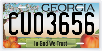 GA license plate CUO3656