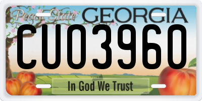 GA license plate CUO3960