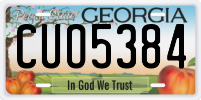 GA license plate CUO5384