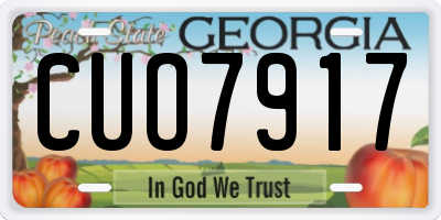GA license plate CUO7917
