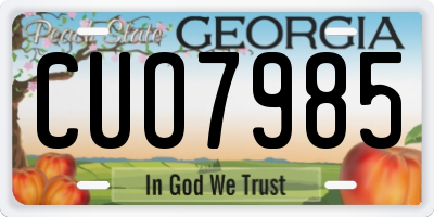 GA license plate CUO7985