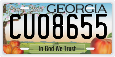 GA license plate CUO8655