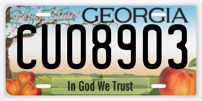 GA license plate CUO8903