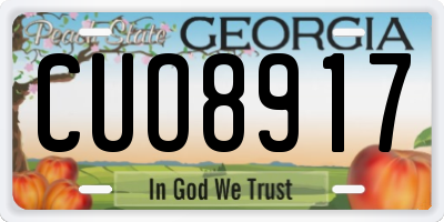 GA license plate CUO8917