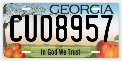 GA license plate CUO8957