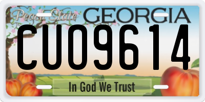 GA license plate CUO9614