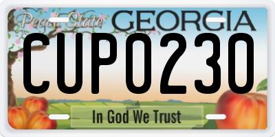 GA license plate CUP0230