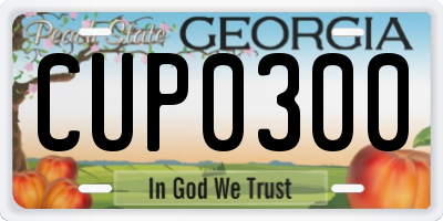 GA license plate CUP0300