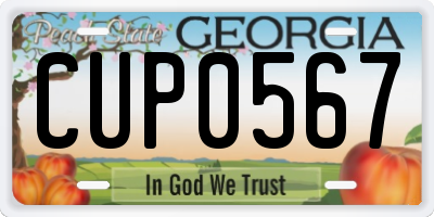 GA license plate CUP0567