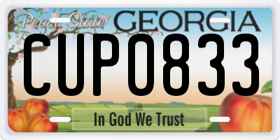GA license plate CUP0833