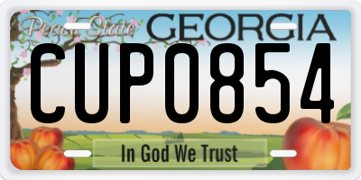 GA license plate CUP0854