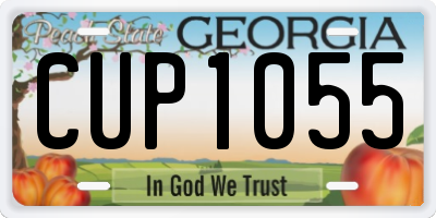 GA license plate CUP1055