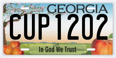 GA license plate CUP1202