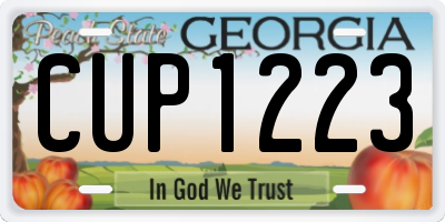 GA license plate CUP1223