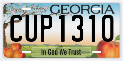 GA license plate CUP1310
