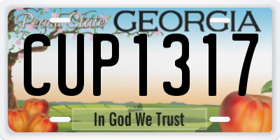 GA license plate CUP1317