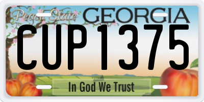 GA license plate CUP1375