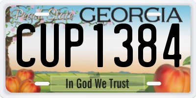 GA license plate CUP1384