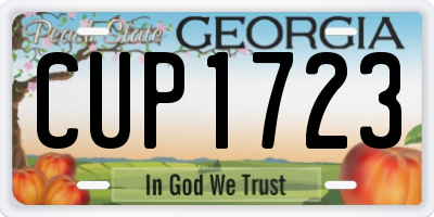 GA license plate CUP1723