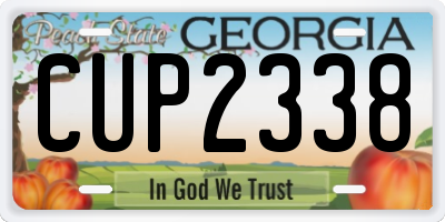 GA license plate CUP2338