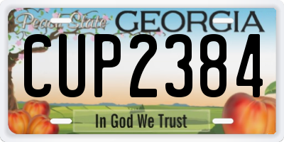GA license plate CUP2384