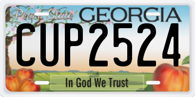 GA license plate CUP2524
