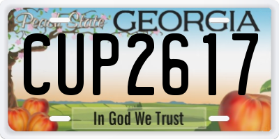 GA license plate CUP2617