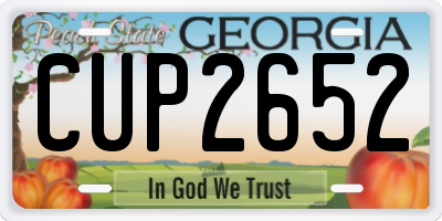 GA license plate CUP2652