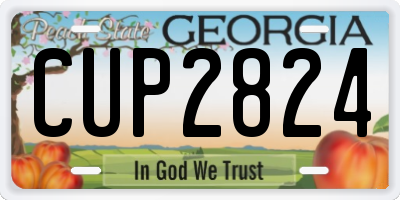 GA license plate CUP2824