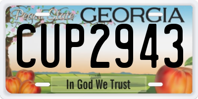 GA license plate CUP2943