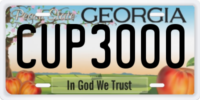GA license plate CUP3000