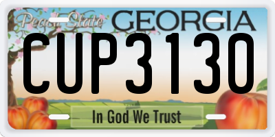 GA license plate CUP3130