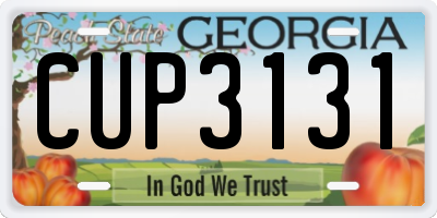 GA license plate CUP3131